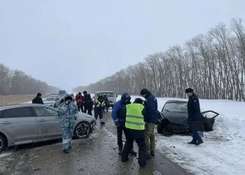 Цильнинская прокуратура проводит проверку по ДТП с двумя погибшими и тремя пострадавшими