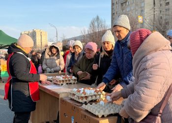 28 тонн овощей и 11 тонн мяса: подвели итоги первой весенней ярмарки в Ульяновске