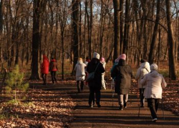 Ульяновский парк Победы признали одним из лучших мест для ЗОЖ в России