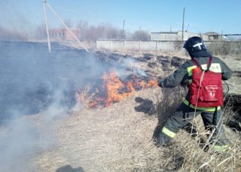Пожаров стало больше, но гибнут реже: итоги зимы в Ульяновске