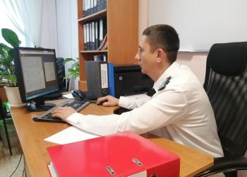 32 тысячи тонн опасного зерна выявили в Ульяновской области