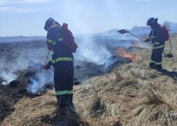 Четыре ландшафтных пожара потушили в Ульяновске за сутки