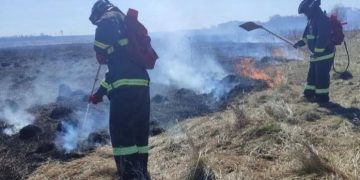 Четыре ландшафтных пожара потушили в Ульяновске за сутки