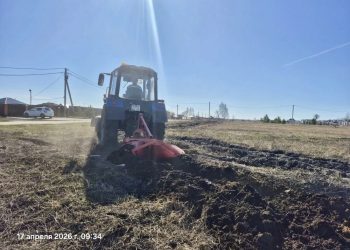 В Ульяновске за сутки создали 14 км противопожарных полос