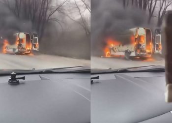 На Димитровградском шоссе в Ульяновске дотла сгорел микроавтобус: видео