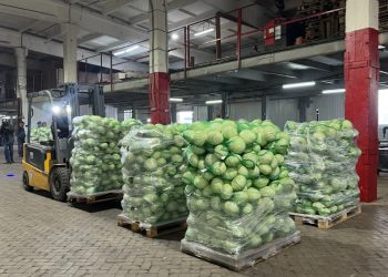 Первый в регионе агроагрегатор для фермерской продукции запущен в Ульяновской области