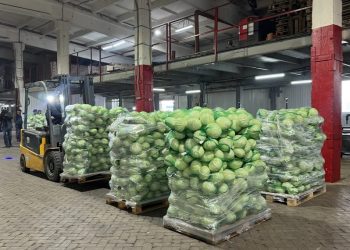 Ульяновцы могут экономить: наш регион обогнал 13 соседей по доступности еды