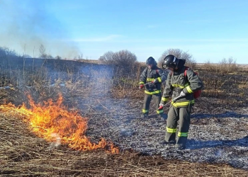 В Ульяновске потушили первый лесной пожар: огонь прошёл 3,5 га