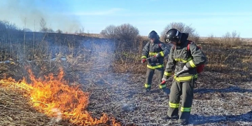 В Ульяновске потушили первый лесной пожар: огонь прошёл 3,5 га