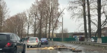 Сильный ветер повалил дерево на Димитровградском шоссе утром 27 апреля