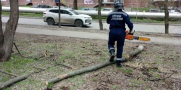 В Ульяновске убирают поваленные шквалистым ветром деревья