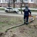 В Ульяновске убирают поваленные шквалистым ветром деревья