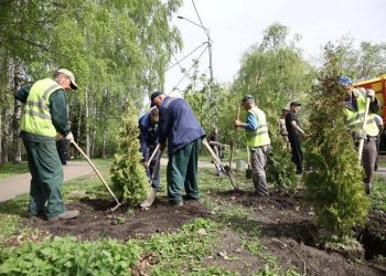 Ульяновцев зовут на «Зелёную Весну»: убирать, сажать деревья и спасать природу