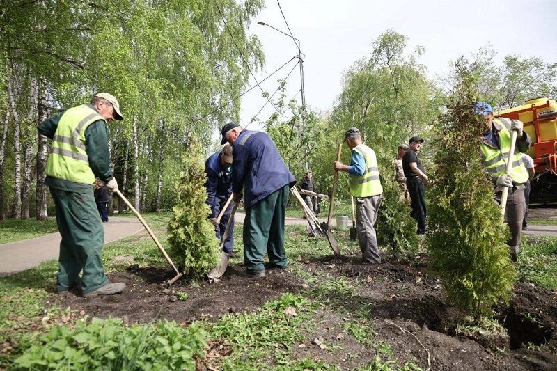 Ульяновцев зовут на «Зелёную Весну»: убирать, сажать деревья и спасать природу