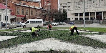 43 тысячи тюльпанов украсят Ульяновск к Дню Победы: посадки начались
