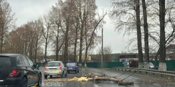 Сильный ветер повалил дерево на Димитровградском шоссе утром 27 апреля