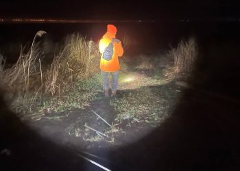 Неравнодушный взгляд спас жизнь: история поиска 79-летней ульяновской пенсионерки