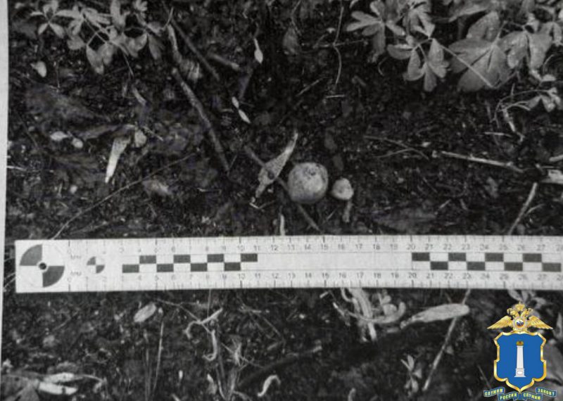 В Ульяновске полицейские задержали молодых людей с мефедроном