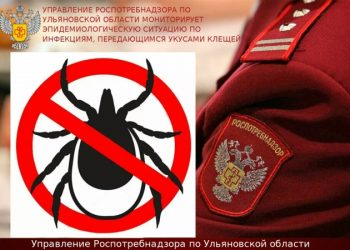 Клещи проснулись в Ульяновской области: укусили уже четырёх человек