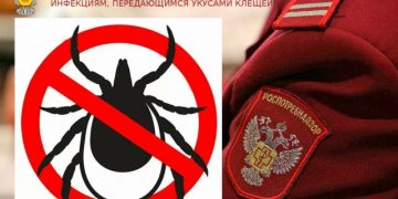 Клещи проснулись в Ульяновской области: укусили уже четырёх человек