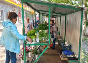 Ульяновский мэр поручил провести ревизию 24 торговых площадок для садоводов