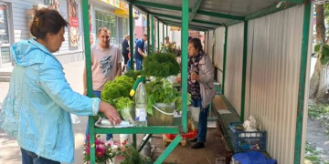 Ульяновский мэр поручил провести ревизию 24 торговых площадок для садоводов