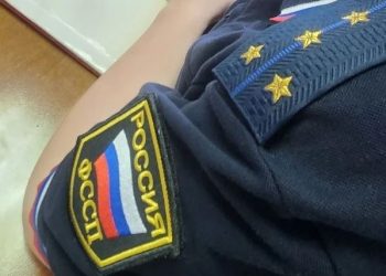 Житель Майнского района получил реальный срок за неуплату алиментов