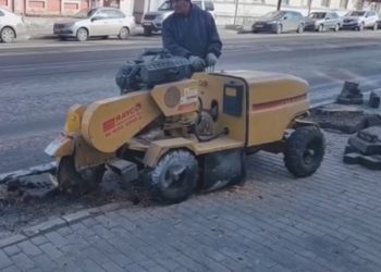 С улицы Ленина в центре Ульяновска исчезли восемь «древесных пережитков»