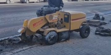 С улицы Ленина в центре Ульяновска исчезли восемь «древесных пережитков»