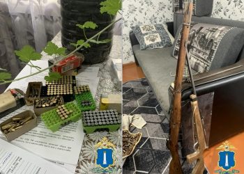 В двух районах Ульяновской области изъяли незаконное оружие и боеприпасы