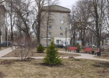 Мэр Болдакин поручил увеличить план озеленения в Ульяновске