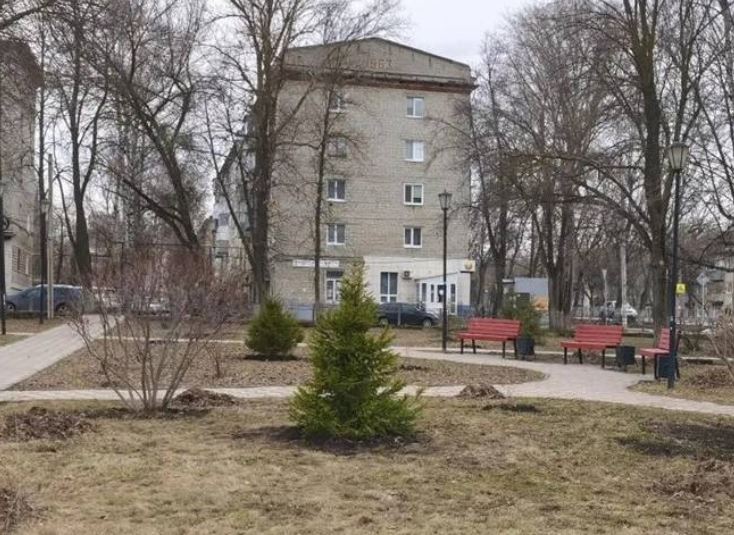 Мэр Болдакин поручил увеличить план озеленения в Ульяновске