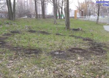 80 кустарников высадили в ульяновском сквере «Новое поколение»