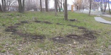 80 кустарников высадили в ульяновском сквере «Новое поколение»