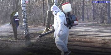 Парки Ульяновска готовят к открытию сезона 1 мая: где и что делают