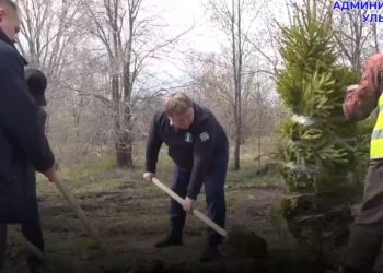 Мэр с лопатой помог ульяновцам сажать ёлки в сквере Антонова