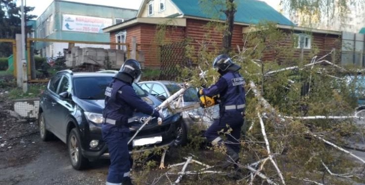 В Ульяновске штормовым ветром повалило 26 деревьев, повреждены 4 автомобиля