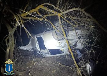 Ульяновец на «Ниссане» улетел в кювет, перевернулся и протаранил дерево