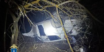 Ульяновец на «Ниссане» улетел в кювет, перевернулся и протаранил дерево