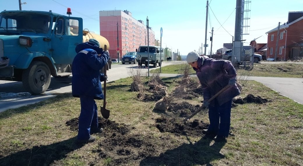 Сирень, чубушник и снежноягодник высаживают в ульяновском сквере Трёх поколений