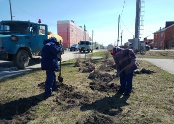 Сирень, чубушник и снежноягодник высаживают в ульяновском сквере Трёх поколений