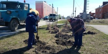 Сирень, чубушник и снежноягодник высаживают в ульяновском сквере Трёх поколений