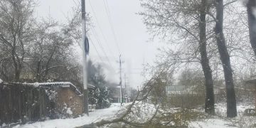 Снежный удар: Четыре бригады борются с последствиями непогоды в Ульяновской области