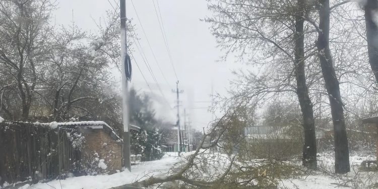 Снежный удар 25 апреля обесточил и обезводил Вешкаймский район Ульяновской области