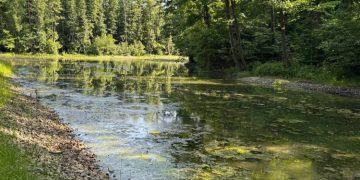 Винновская роща: 28 тысяч тонн грязи вывезли, но проблем не убавилось