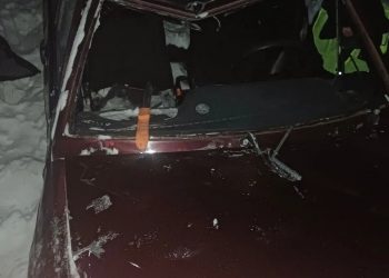 Под Ульяновском пьяный водитель уснул за рулём: погиб пассажир