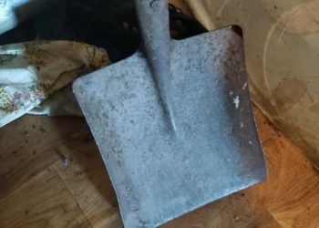 Житель Елшанки убил двух человек одной лопатой