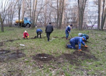 80 кустарников высадили в ульяновском сквере «Новое поколение»