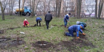 80 кустарников высадили в ульяновском сквере «Новое поколение»