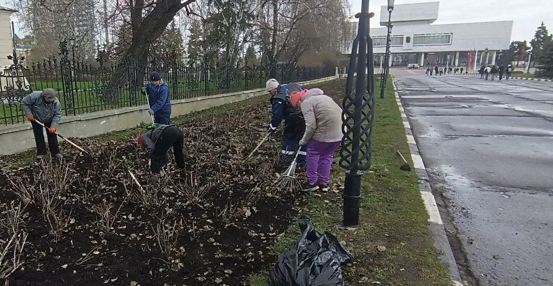 На эспланаде в Ульяновске начали разокучивать розы после зимы